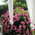 Stunning & Lovely Manuela * 살로