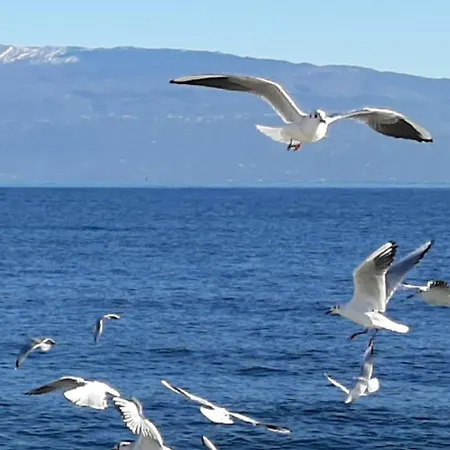 Stunning & Lovely Manuela * Salo