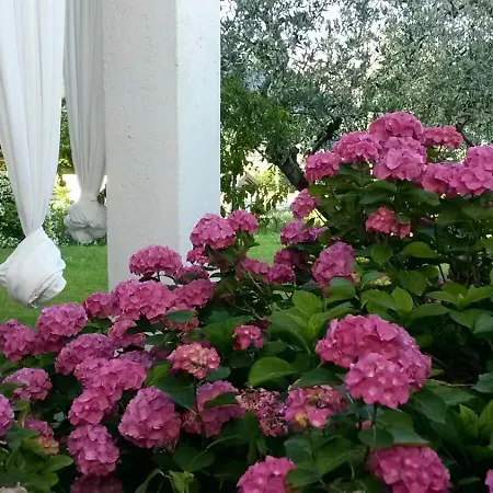 Stunning & Lovely Manuela Holiday home *